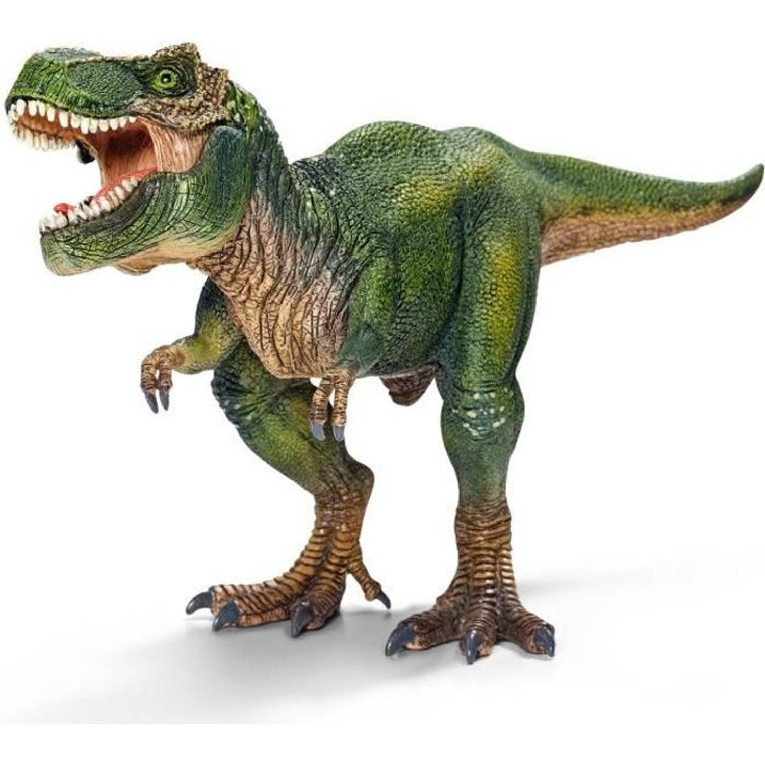 Dinosaurs Tyrannosaurus Rex