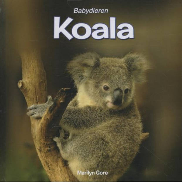 Koala - Babydieren