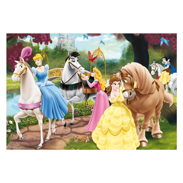 Ravenburger - Disney Princess. Betoverende prinsessen (2x24)