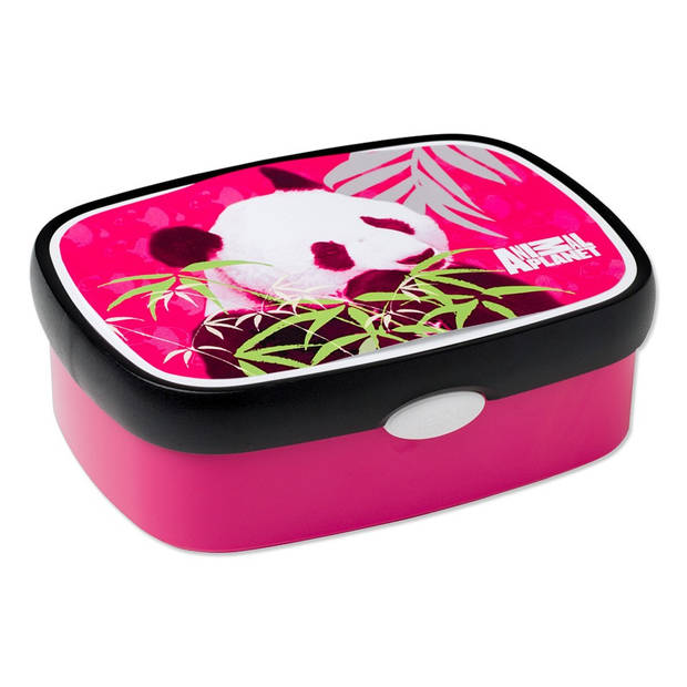 Mepal Animal Planet lunchbox panda