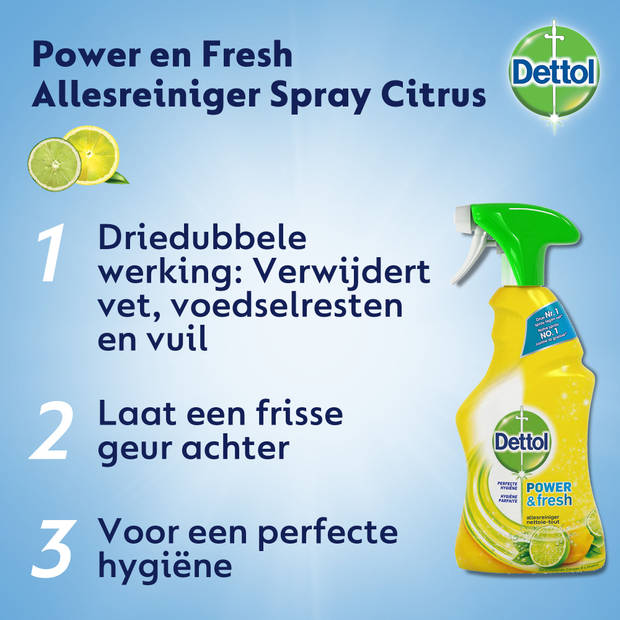 Dettol Allesreiniger Spray Citrus - 500ml