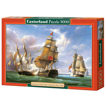 Castorland puzzel copy of 'Combat' - 3000 stukjes