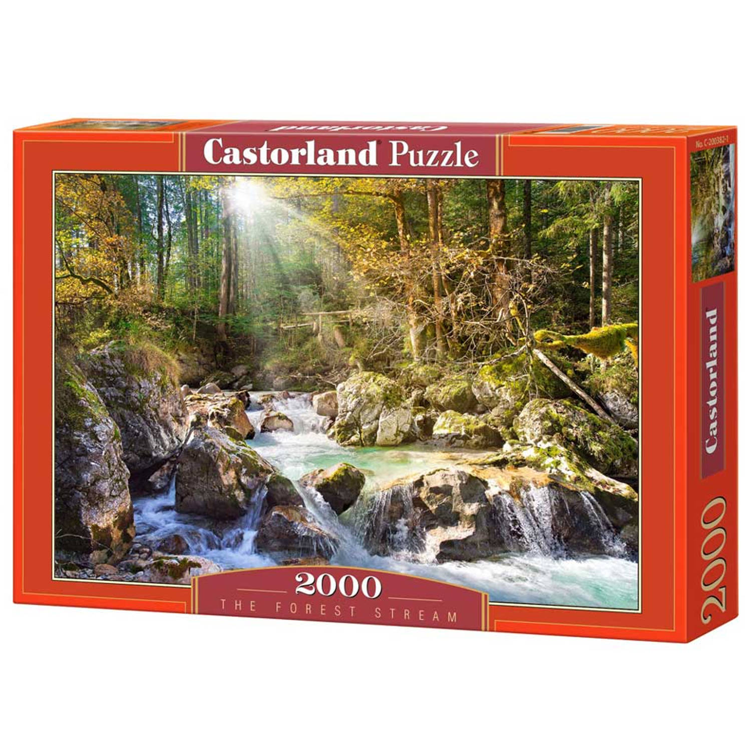 The Forest Stream puzzel