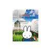 Miffy In The Netherlands