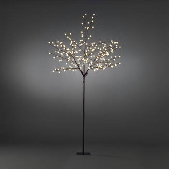 Konstsmide led lichttak - 250cm - 250 lampjes