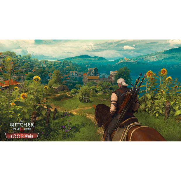 PS4 The Witcher 3 Wild Hunt Game of the Year Edition