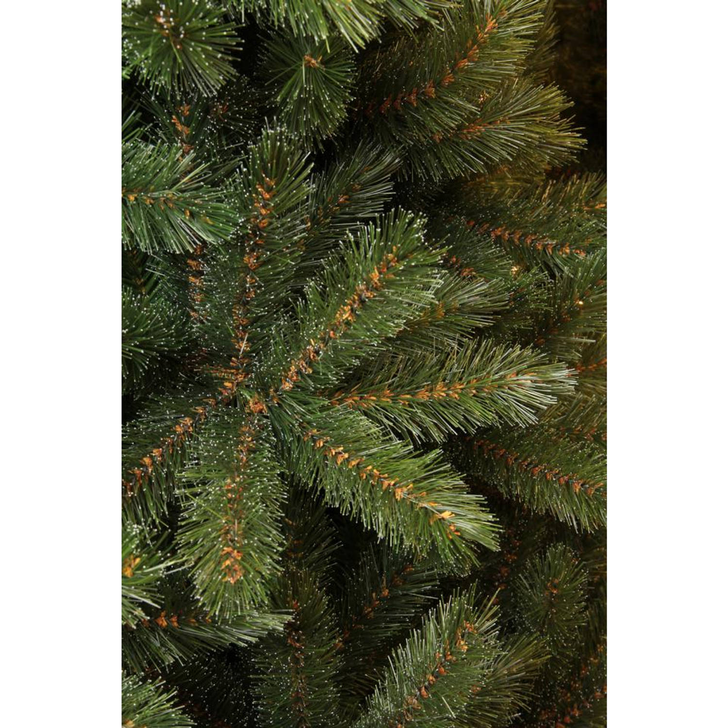 het winkelcentrum kat semester Triumph Tree kerstboom Forest Frosted - 215 cm | Blokker