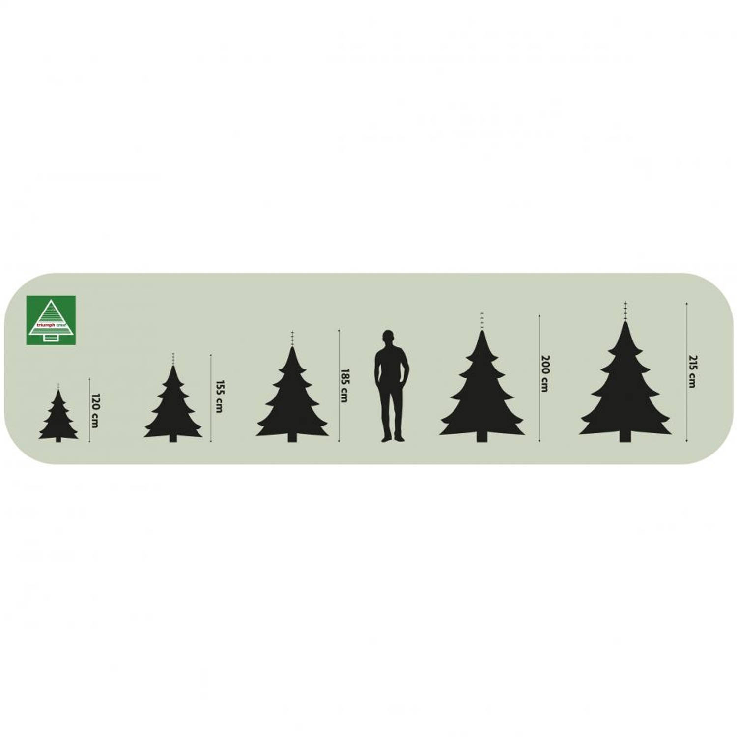 Appartement Missionaris Theoretisch Triumph Tree kerstboom Forest Frosted - 215 cm | Blokker
