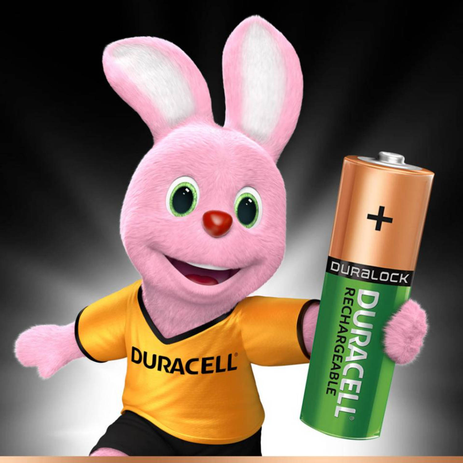 Beginner tekst Brandewijn Duracell Plus AA oplaadbare NiMH batterijen - 4 stuks | Blokker