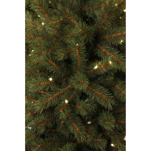 Black Box kerstboom Kingston met ingebouwde verlichting - 120 cm