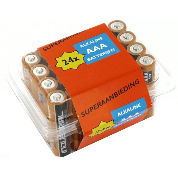lucht Associëren labyrint Duracell batterijen Industrial AAA 24 stuks | Blokker