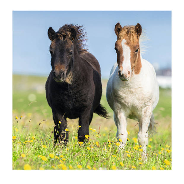 Ravensburger puzzel schattige pony's - 3 x 49 stukjes