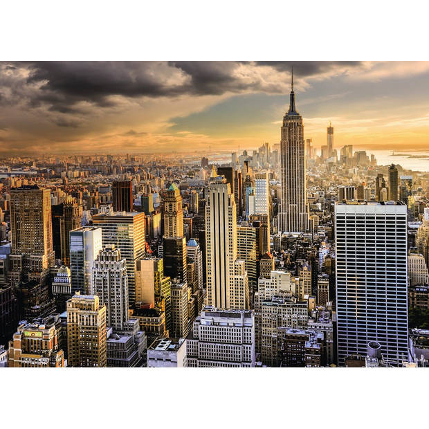 Ravensburger puzzel grand New York - 1000 stukjes