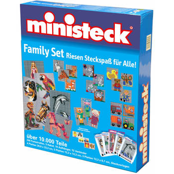 Ministeck familie set 10.000 delig