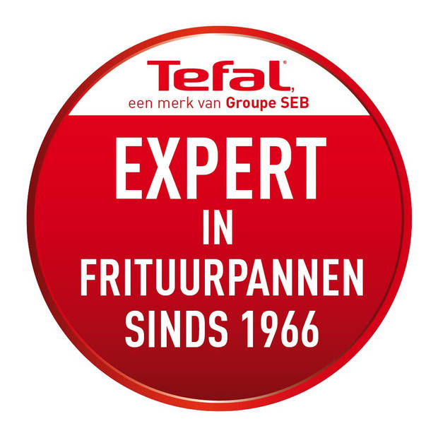 Tefal FR5160 Friteuse Filtra Pro 4,0L