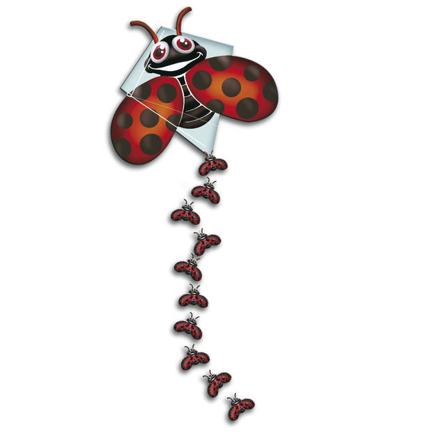 Rhombus lieveheersbeestje vlieger - 70 x 59 cm