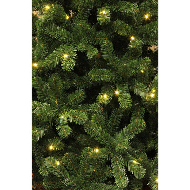 Black Box Charlton kerstboom met 100 LED lampjes - H155XD91CM