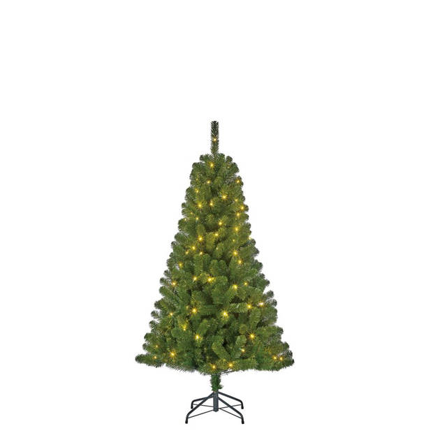 Black Box Charlton kerstboom met 100 LED lampjes - H155XD91CM