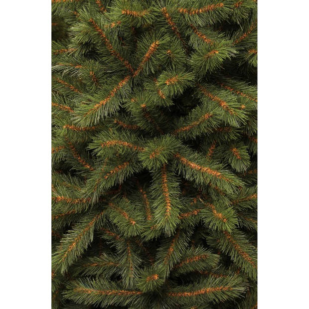 Black Box kerstboom Kingston - 155 cm
