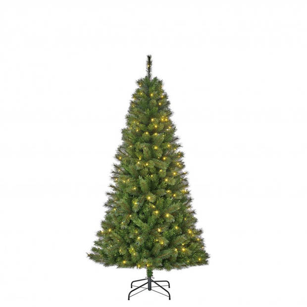 Black Box kerstboom met verlichting Medford - 185 cm