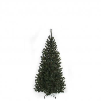 Black Box kerstboom Kingston - 155 cm