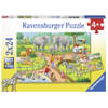 Ravensburger puzzel een dag in de dierentuin - 2 x 24 stukjes