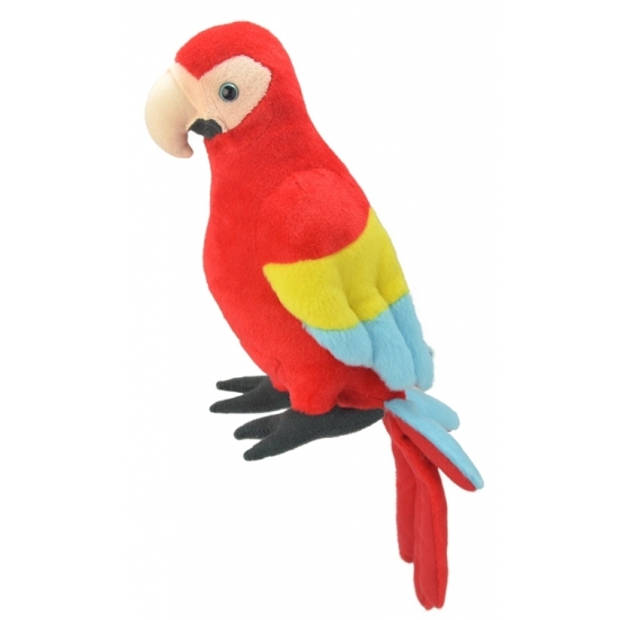 Pluche papegaai knuffel 38 cm - Vogel knuffels