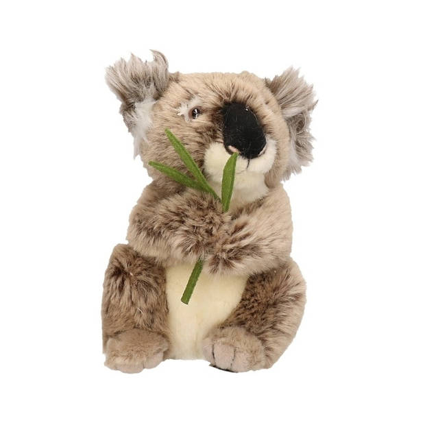 Pluche koala knuffel 17 cm - Knuffeldier