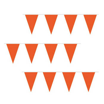 Goedkope oranje vlaggenlijn 10 m - Feestslingers