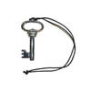 Namaak/nep/housewarming sleutel aan ketting zilver 12 cm - Verkleedketting