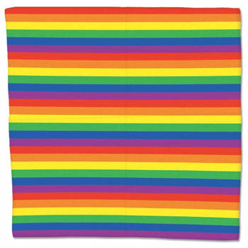 Regenboog bandana gestreept - Verkleedhoofddeksels