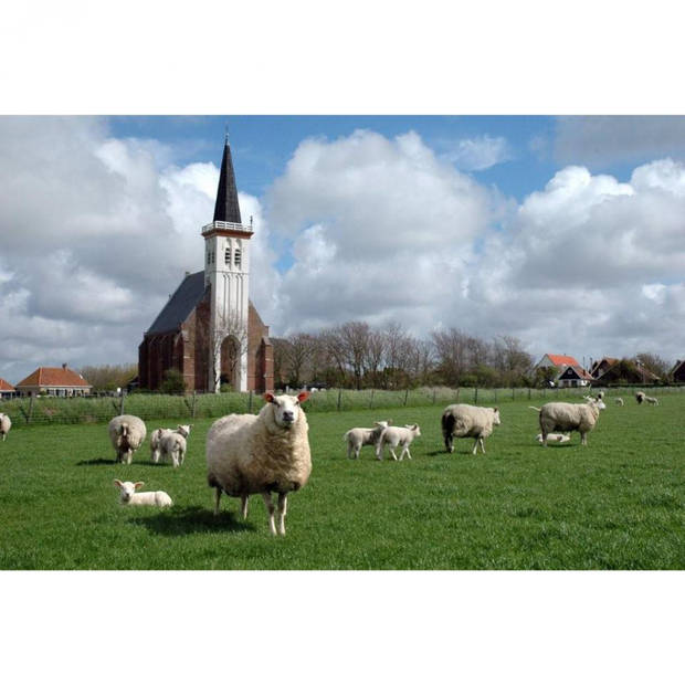 Texel Wollen 4 seizoenen dekbed 140 x 220 cm