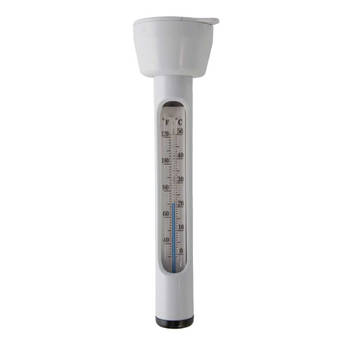 Intex thermometer