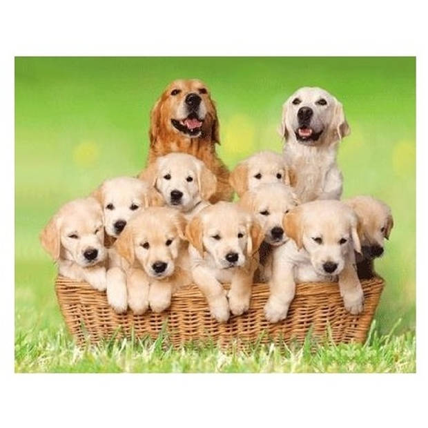 3D koelkast magneetje golden retrievers - Magneten