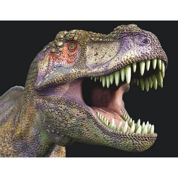 3D koelkast magneetje met T-rex dinosaurus - Magneten