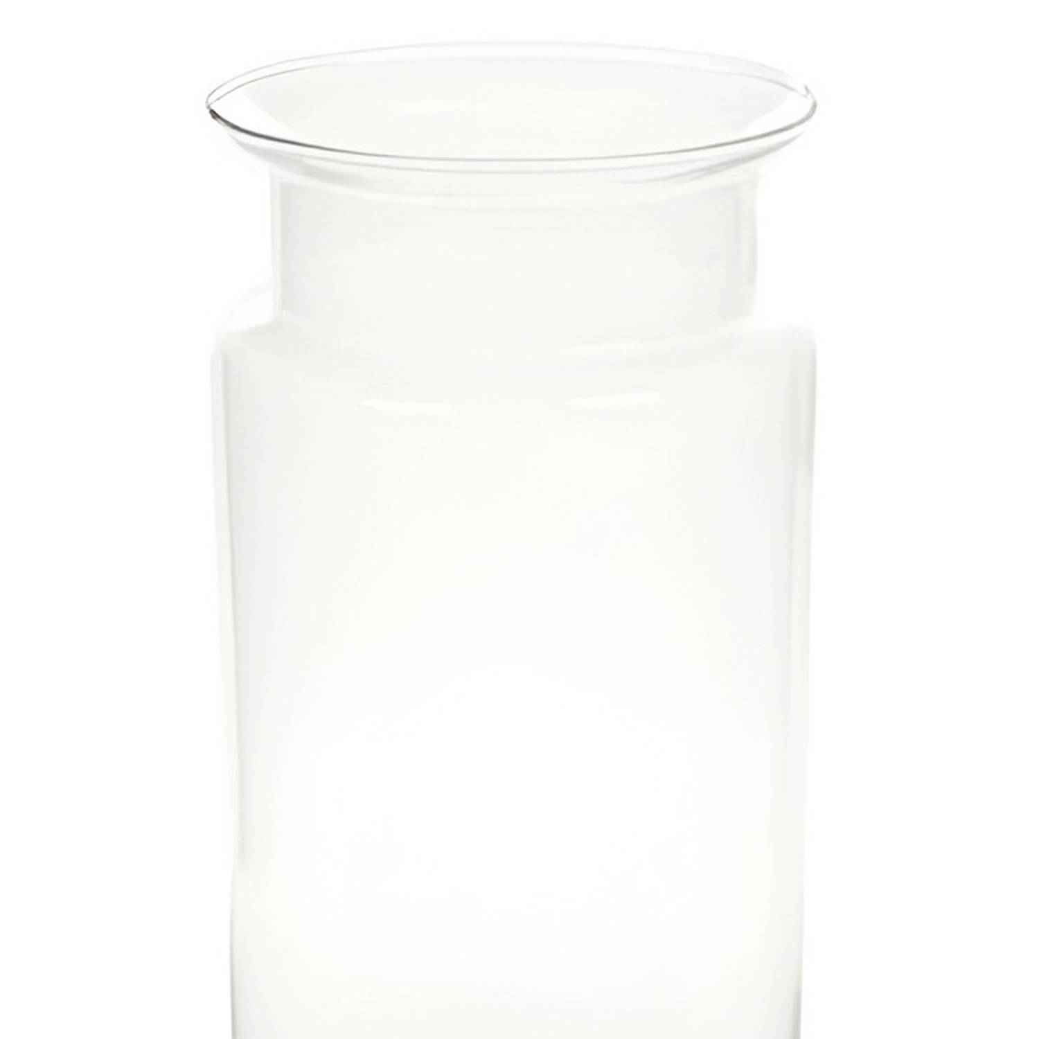 Flesvormige vaas glas 30 cm type bose