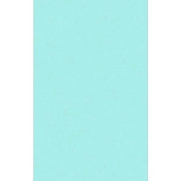 Mintblauwe afneembare tafelkleden/tafellakens 138 x 220 cm papier/kunststof - Feesttafelkleden