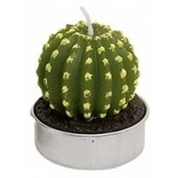 Groene cactus kaarsen theelichtjes 5 cm - Waxinelichtjes