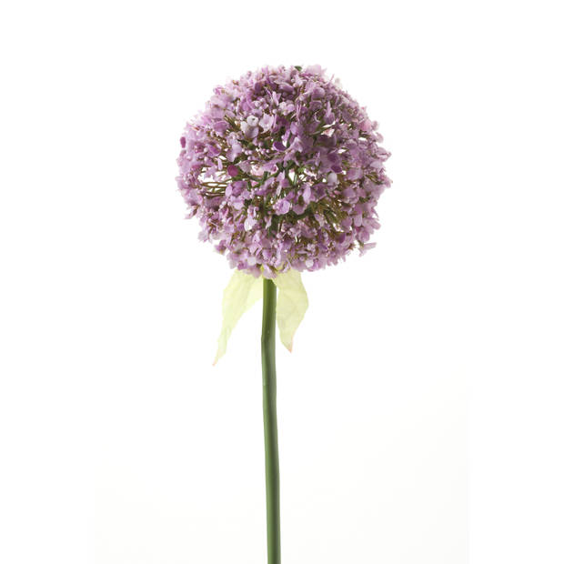 Blokker kunstbloem Alliumtak - roze - 70 cm