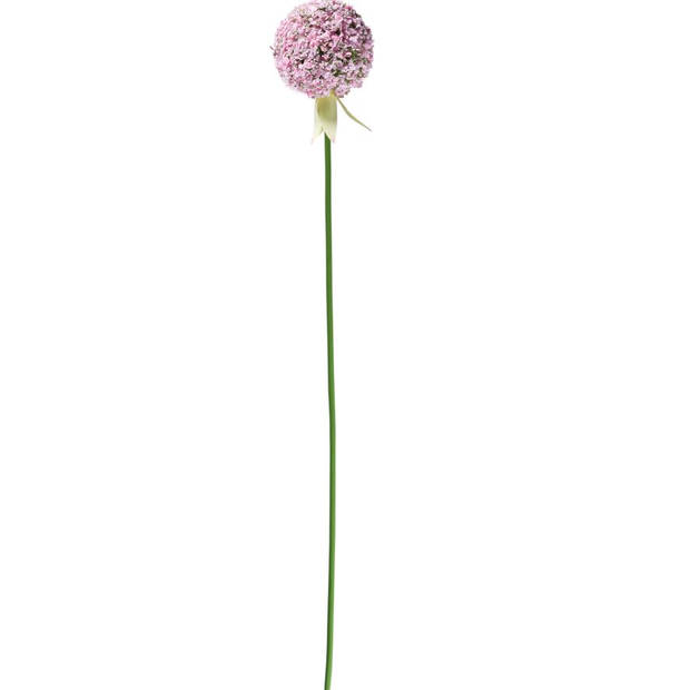 Blokker kunstbloem Alliumtak - roze - 70 cm