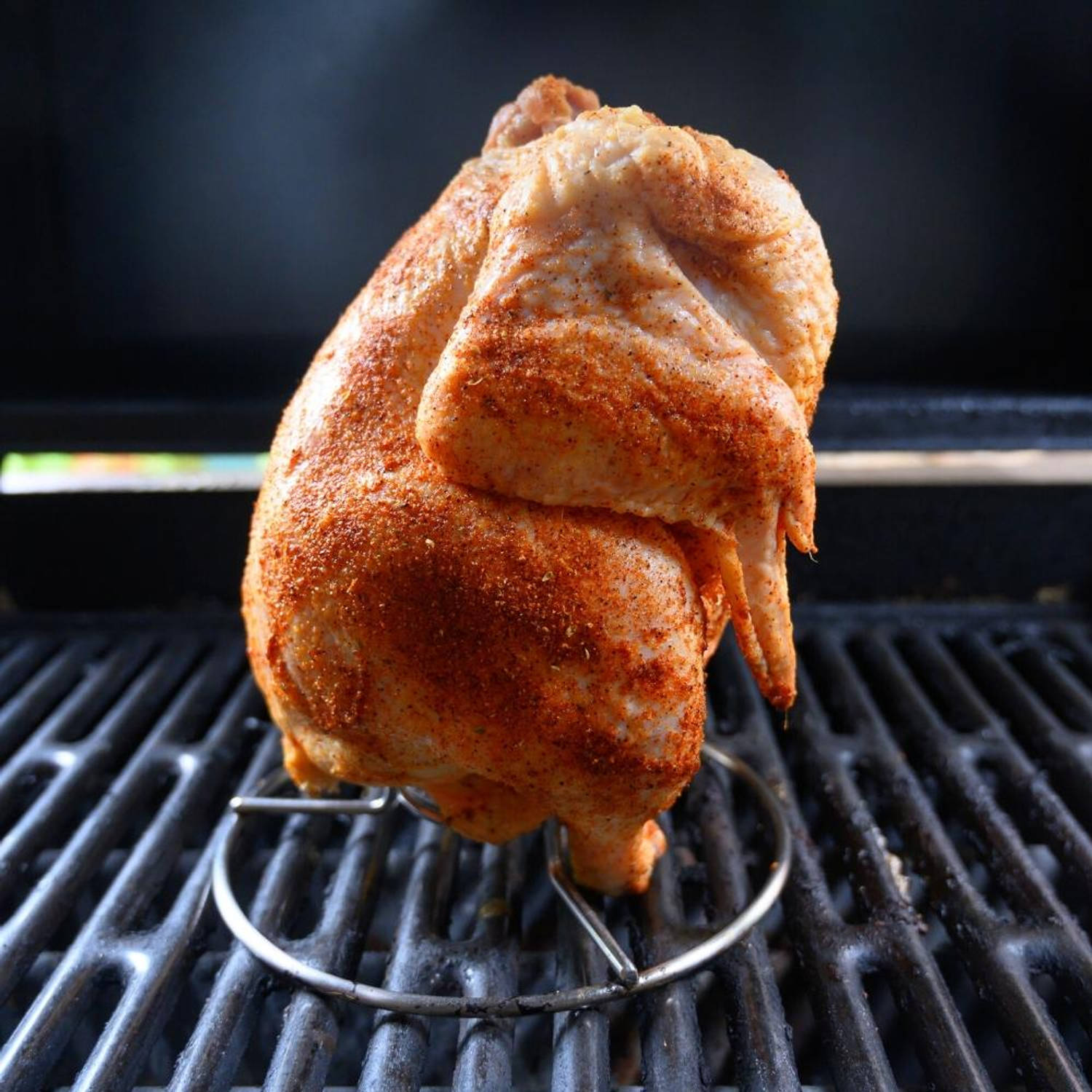 verkoper levenslang Kaal BBQ Kiprooster - Kip rooster - Kip grillen - Ronde kip roaster - Kipgrill |  Blokker