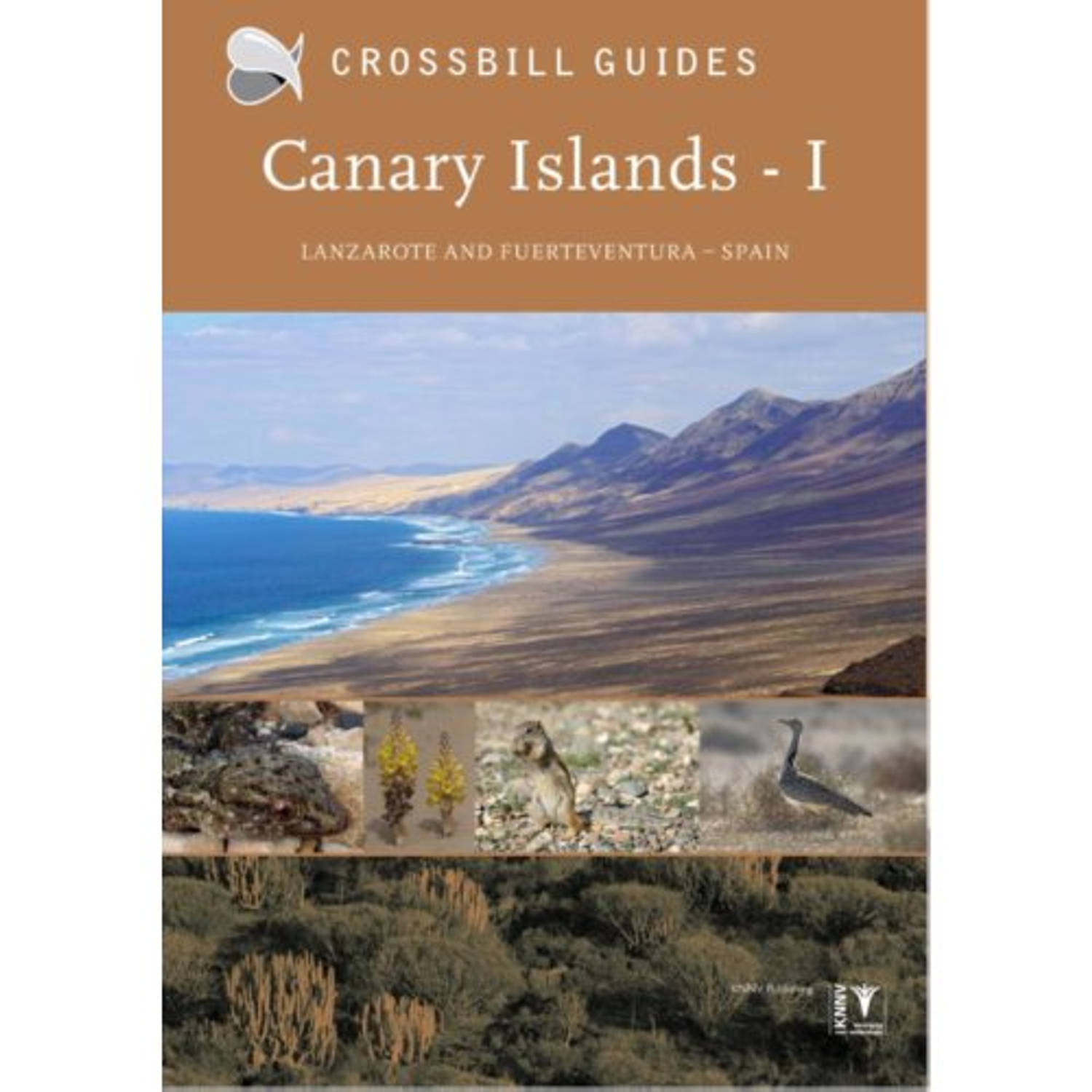 Canary Islands / I Lanzarote And Fuertev