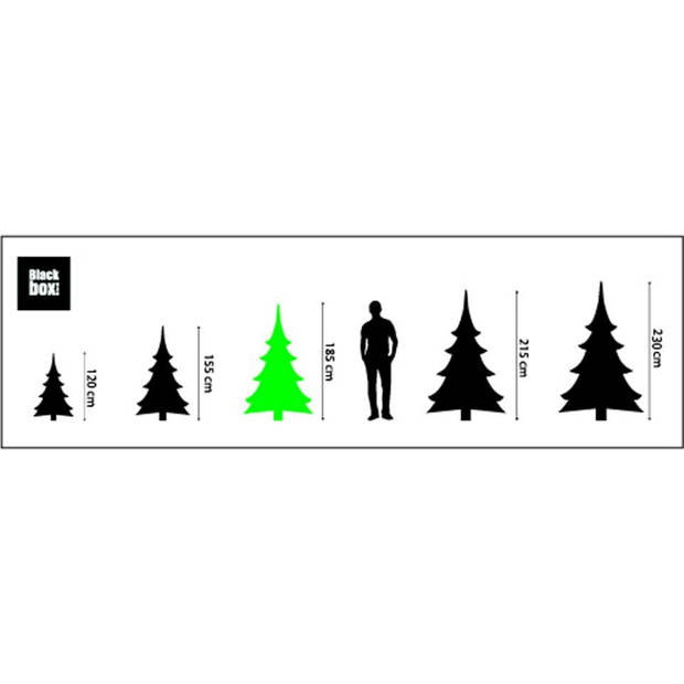 Black Box Frasier kerstboom groen - H185XD124CM