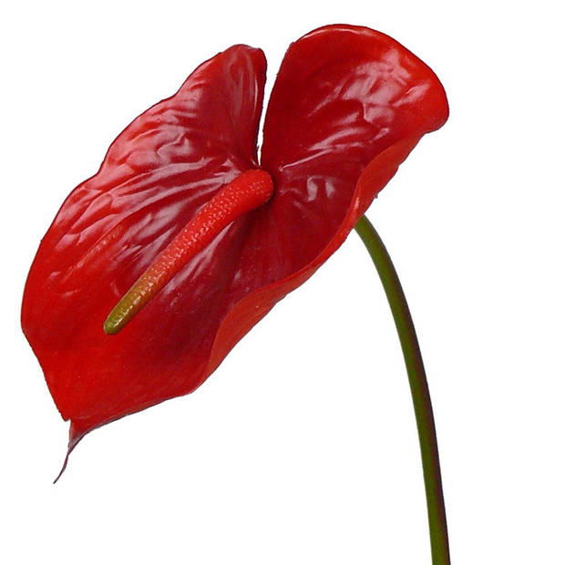 Nep anthurium rood met groen 78 cm - Kunstbloemen