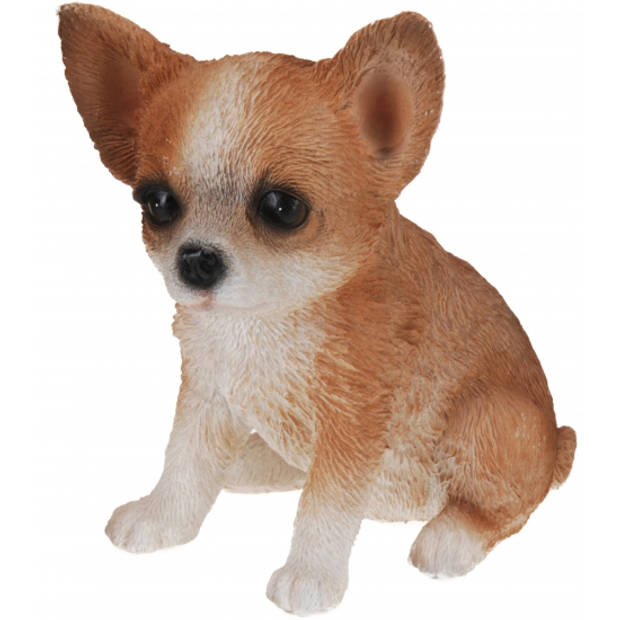 Chihuahua honden beeldje voor binnen 17 cm - Beeldjes