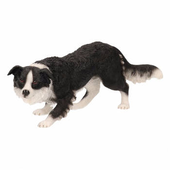 Honden beeldje Border Collie 17 cm - Beeldjes