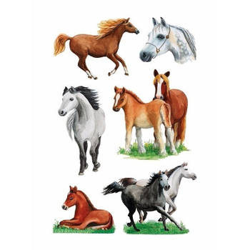 Stickers diverse paarden 6 vellen - Stickers
