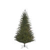 Black Box Frasier kerstboom groen - H185XD124CM