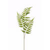 Tree fern kunstplant tak 85 cm - Kunstbloemen