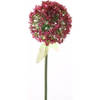 Kunst Sierui/Allium steelbloem rose/rood 70 cm - Kunstbloemen
